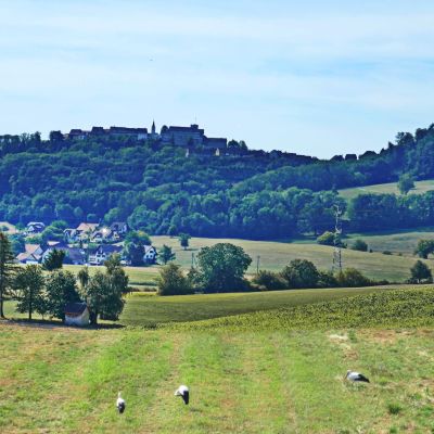 046 Schloss Regensberg 